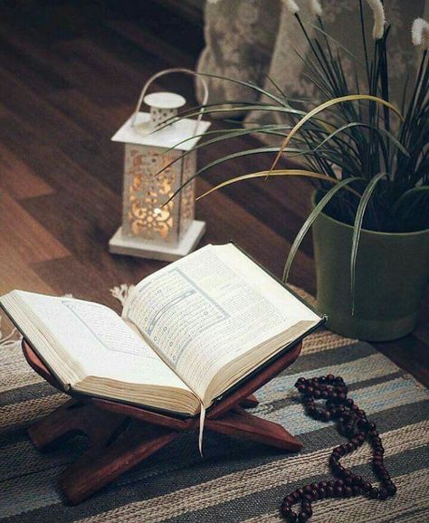 Taqwa in Islam: Meaning and 5 Practical Ways to Strengthen Your God-Consciousness